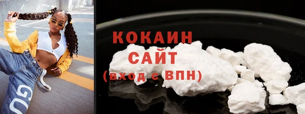 шишки Абаза