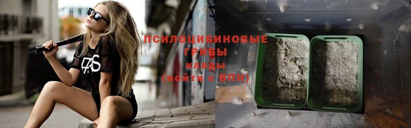 шишки Абаза