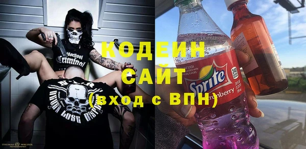 шишки Абаза