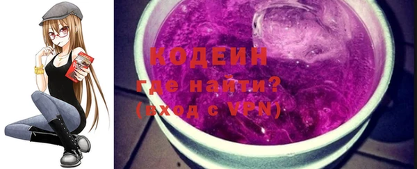шишки Абаза