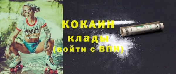 шишки Абаза