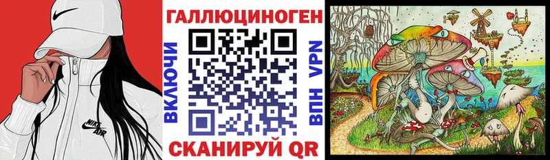Псилоцибиновые грибы Psilocybe  Сыктывкар 